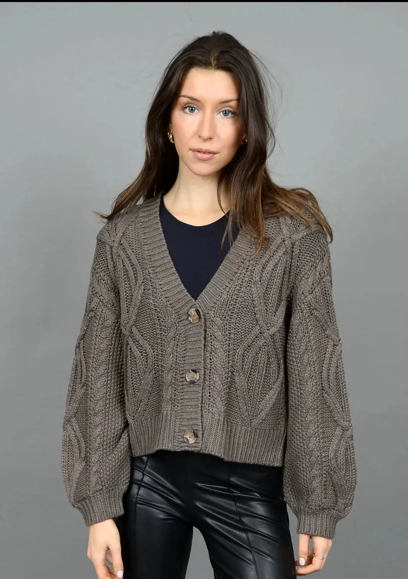 Ignacia Long Sleeve V Neck Cardigan